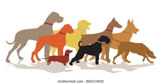 Group of dog breeds illustration