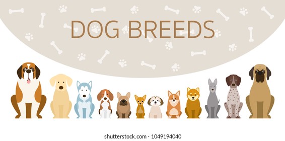 Group of Dog Breeds Illustration, Front View in a Row with Background, Pet