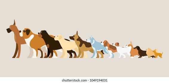 Group of Dog Breeds Illustration, Side View Arranged in Height Order