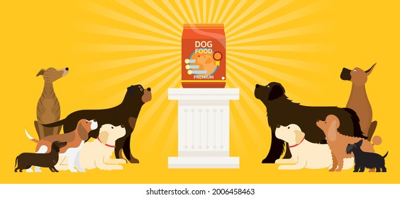 Group of Dog Breeds Looking at Food Package on Winner Podium, Flat Vector Illustration Cartoon