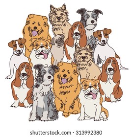 Group dogs color isolate on white. Big group of different dogs separated on white background. Color vector illustration. EPS 8.