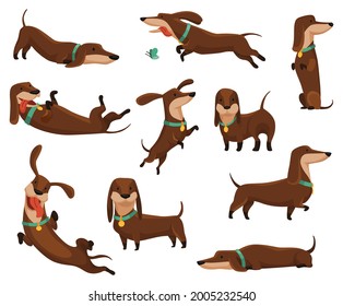 Group of dogs dachshund. Cute funny characters portrait in different poses. Short-legged pets with long body. Adorable cartoon vector illustration