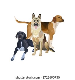 A group of dogs of different breeds. German shepherd dog, English pointer, American foxhound. Vector illustration isolated on white background