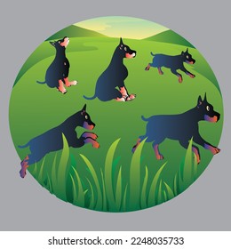 A group of dogs in different situations