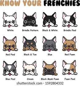 Group of dogs icons. French bulldog color types vector icon set for individual use. French Bulldog hand drawn cartoon face set. 