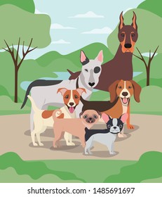 group of dogs pets in the camp characters