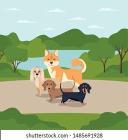 group of dogs pets in the camp characters