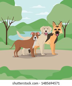 group of dogs pets in the camp characters