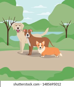 group of dogs pets in the camp characters