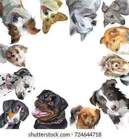 Group of dogs portraits different breeds (Rottweiler, border collie; toy Terrier, Welsh Corgi, Sheltie,Yorkshire and Biewer Terriers, Greyhound, dalmatian, husky) isolated on white background 