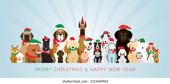 Group of Dogs Wearing Christmas Costume, Winter and New Year Celebration