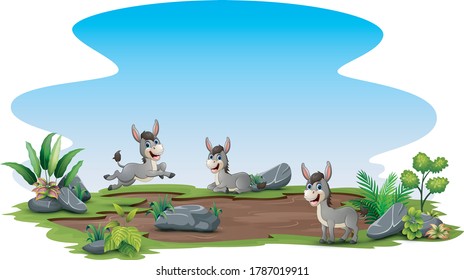 Group of donkey playing on the field