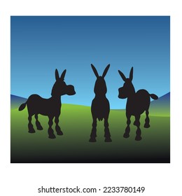 Eine Gruppe Esel steht und es scheint dunkel zu sein
