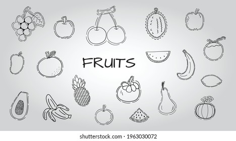 Group of draw fruit.vector illustration set