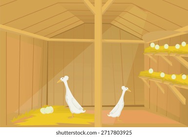 Un grupo de patos están en el gallinero