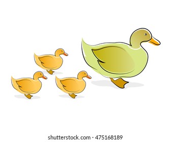 Group of ducks in a row, vector illustration isolated on white background.