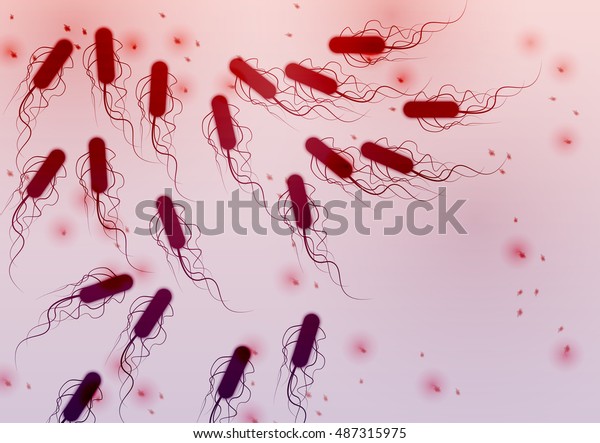 Group E Coli Bacteria Vector Illustration Stock Vector (Royalty Free ...