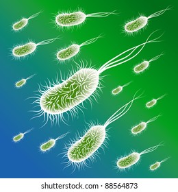 Group Of The E Coli Bacteries. Vector Illustration