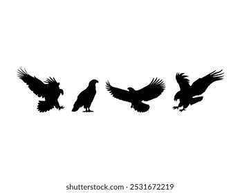 Group of Eagle Silhouette isolated white background. Vector Illustration