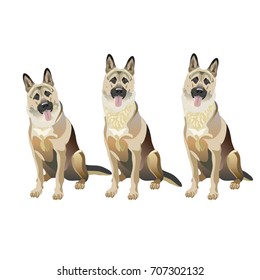 Group of east european shepherd dogs on a white background. Vector illustration