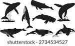A group of eight black silhouettes of different whales and dolphins on a white background