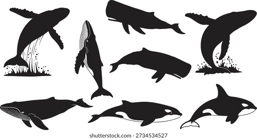 A group of eight black silhouettes of different whales and dolphins on a white background