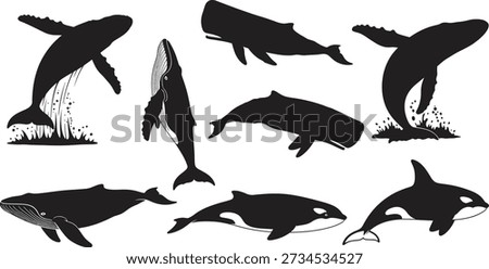 A group of eight black silhouettes of different whales and dolphins on a white background