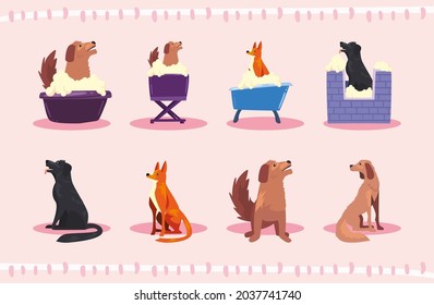 group of eight dogs bathing
