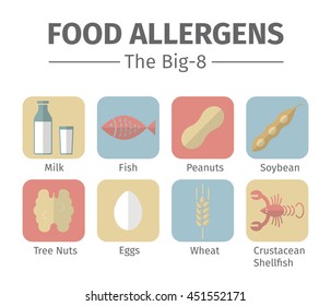 Group Eight Major Allergenic Foods Often Stock Vector (Royalty Free ...