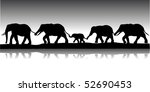 group of elephants