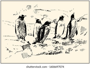 Group of emperor penguins. Black and white hand drawing with pen and ink. Engraving, etching, sketch style. Poster, calendar, postcard.