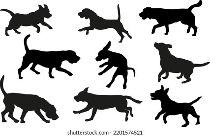 Group of english beagles in various poses. Dog silhouette. Running, standing, sniffing, jumping dogs. Isolated on a white background. Pet animals. Vector illustration.