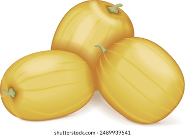 Group of Faerie watermelon. Citrullus lanatus. Fruits and vegetables. Isolated vector illustration.