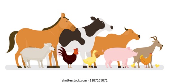 Group of Farm Animals, Side View, Farming, Farmland, Agriculture Product