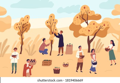 Group of farmer people picking seasonal fruits from trees at garden vector flat illustration. Man and woman at orchard with apples, oranges and plums. Agricultural workers with autumn harvest