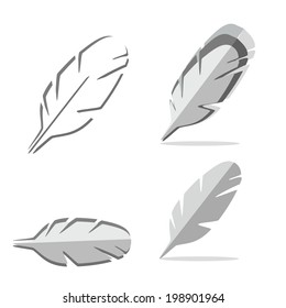 group of feather on white background
