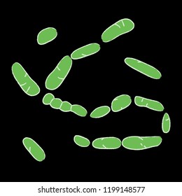 Group of Firmicutes bacterias on black background, vector illustration