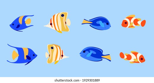 Group Of Fishes - Coral Fishes Isolated On Blue Background. Clown Fish, Butterfly Fish, Fish Surgeon And Arab Angel. Vector Illustration In Colorful Style.