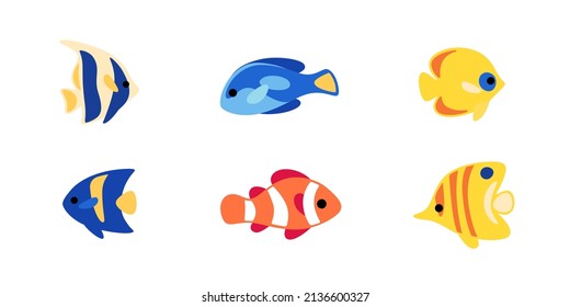 Group of fishes - coral fishes isolated on white background. Clown fish, butterfly fish, fish surgeon, moorish idol, arabic angelfish. Vector illustration in colorful style.