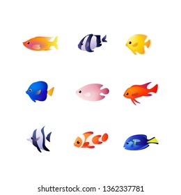 Group of fishes - sea fish isolated on white. Vector illustration in colorful style.