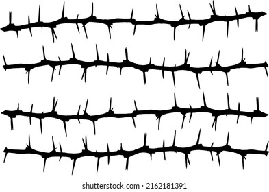 Group of five branches of rose bushes with thorns