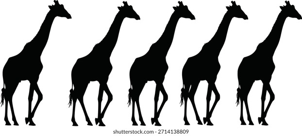 Un grupo de cinco jirafas caminando en una línea, representado en una silueta negra sólida contra un fondo blanco.
