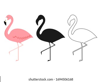 Group of flamingo in different poses cartoon vector illustration isolated on white