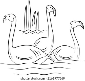 A group of Flamingo swiming in a lake ready to be downloaded and colored or printed out on any thing you love.