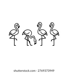 Group of flamingos standing side by side