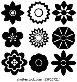 Group of floral templates on a white background