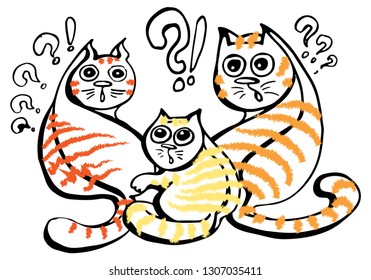 The group of fluffy red and orange striped cats is very surprised. The animals stare in amazement with bulging eyes, interrupting all their important affairs.