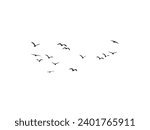 Group of  flying bird make with vector