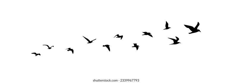 group of flying birds silhouette illustration