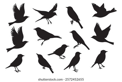 group of flying birds silhouette illustration
